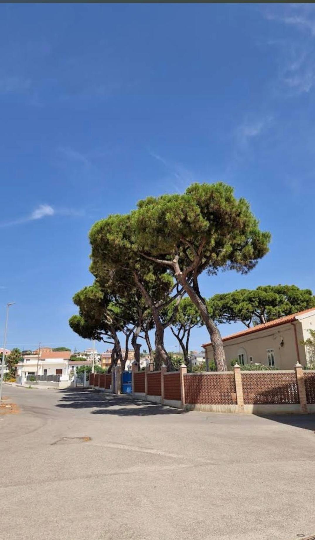 Il Sogno Di Calipso Bed & Breakfast Amendolara Dış mekan fotoğraf